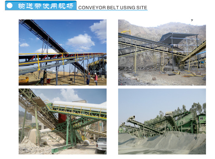 Conveyor Using Site