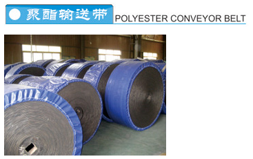 Polyester Convey Belt